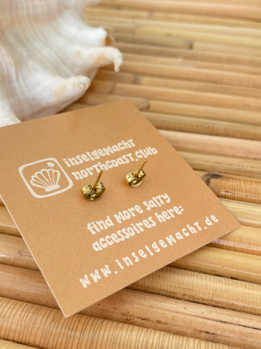 SEA SHELL ~ Ohrringe in Gold