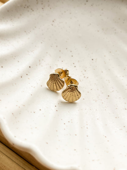 SEA SHELL ~ Ohrringe in Gold