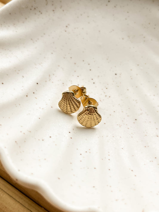 SEA SHELL ~ Ohrringe in Gold