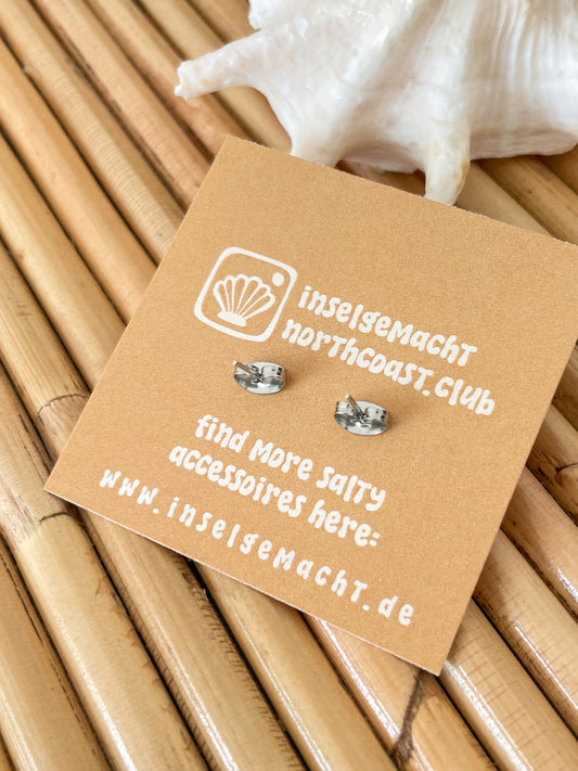 SEA SHELL ~ Ohrringe in Silber